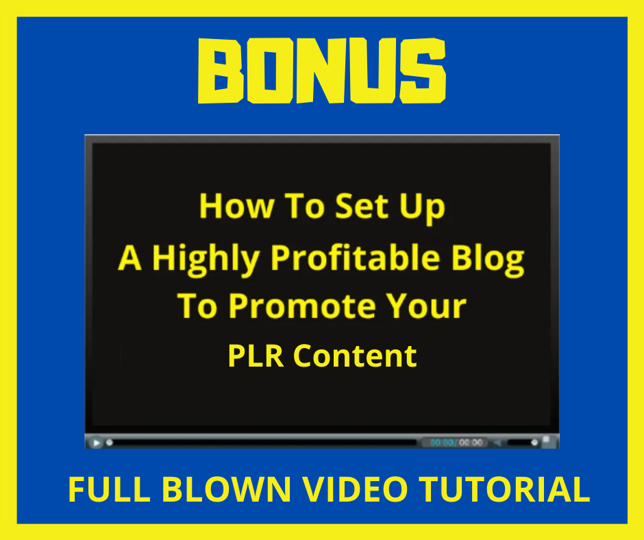PLR On PLR Review Bonus 2