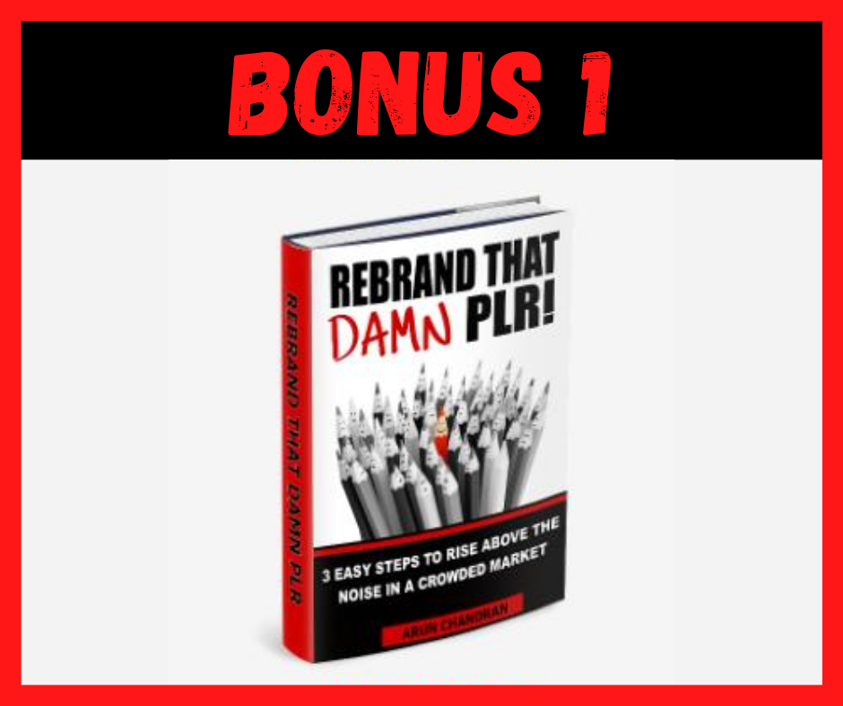 Side Hustle Profits Review Bonus 1 Side Hustle Profits Review Bonus 1