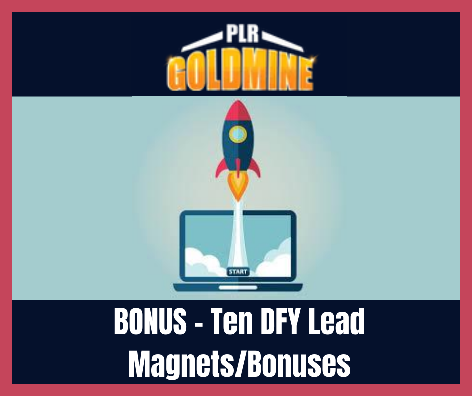 PLR Goldmine Review Bonus 4