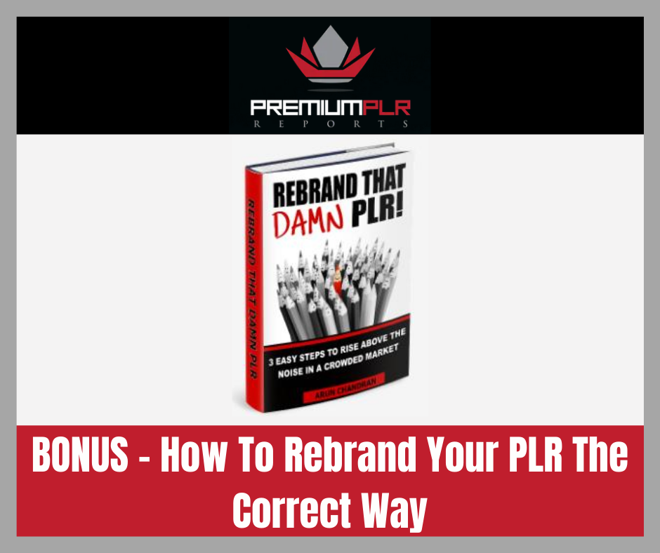 premium plr reports email marketing power bonus1