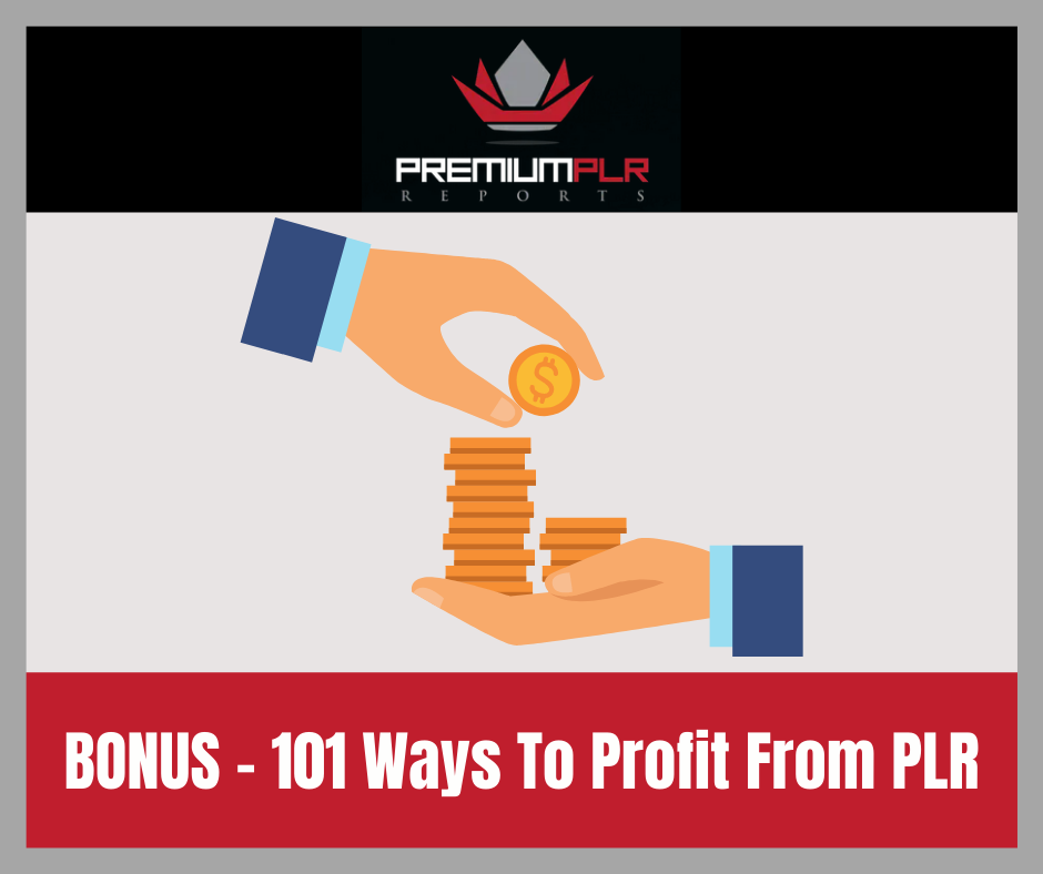 premium plr reports email marketing power bonus2