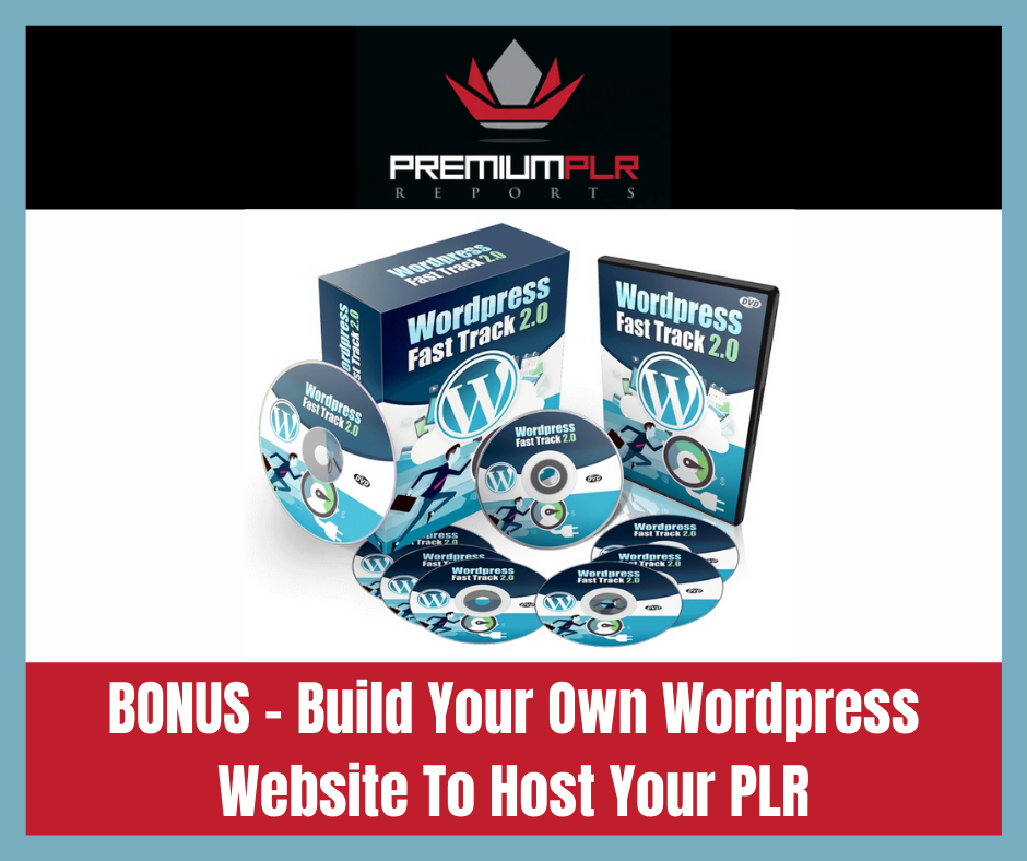 premium plr reports email marketing power bonus3