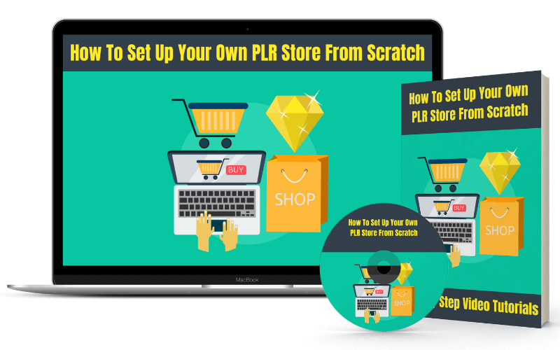 6 Figure Secrets Review - Bonus 4 Set up your plr store