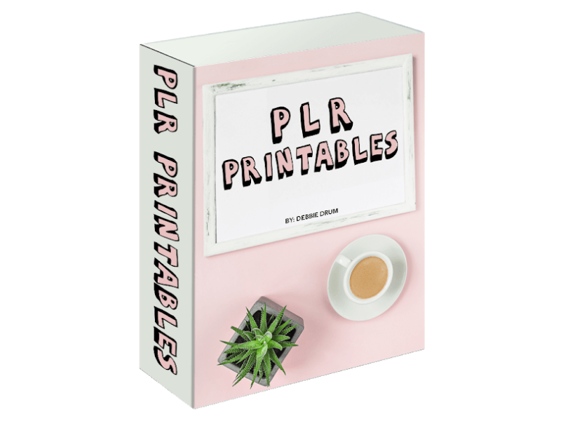 PLR Printables Review - Software Box PLR Printables Review - Software Box