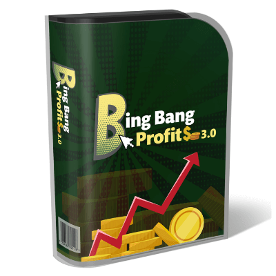 Bing Bang Profits Reloaded Review - Software Box