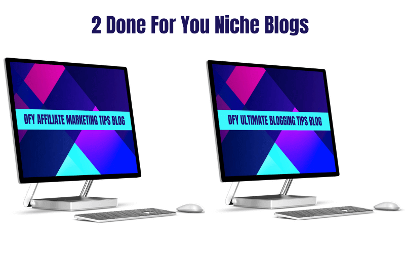 2 DFY Niche Blogs