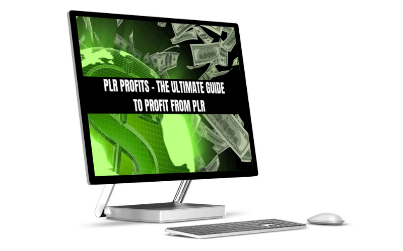 How To Profit From PLR Products - Full Course