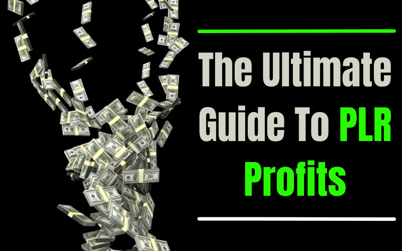 The Ultimate Guide To Profit From PLR Products