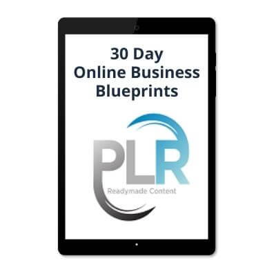 30 Day Online Business Blueprints - PLR Vol 1 Review - Tablet